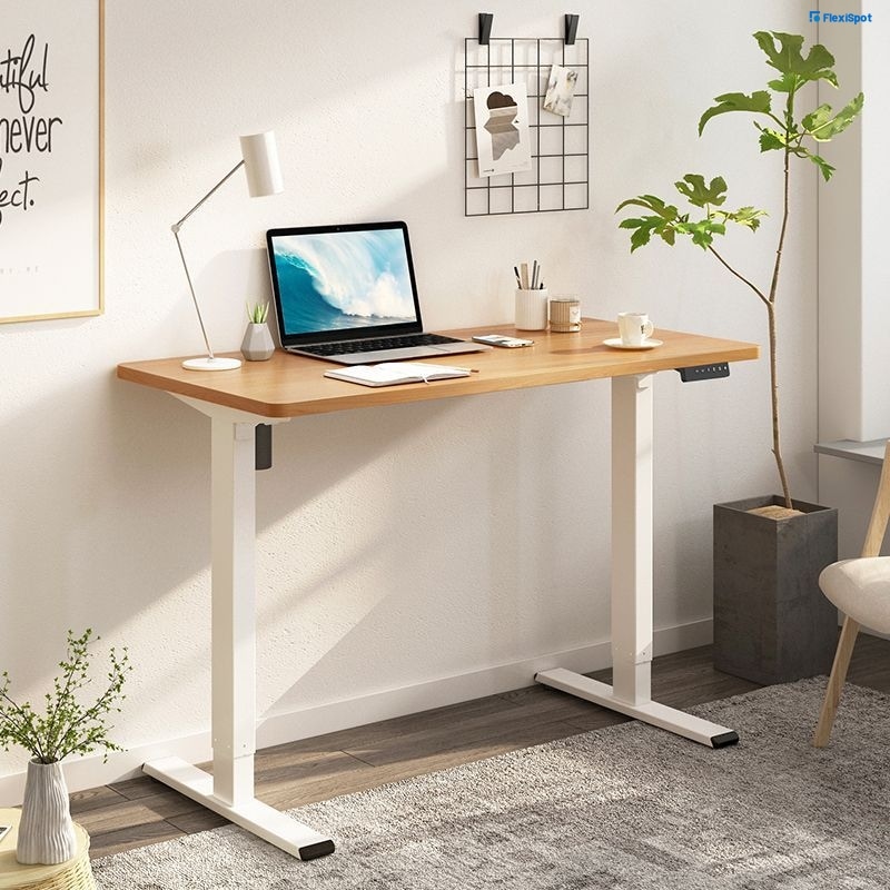 FlexiSpot Electric Standing Desk — Height-Adjustable Workstation